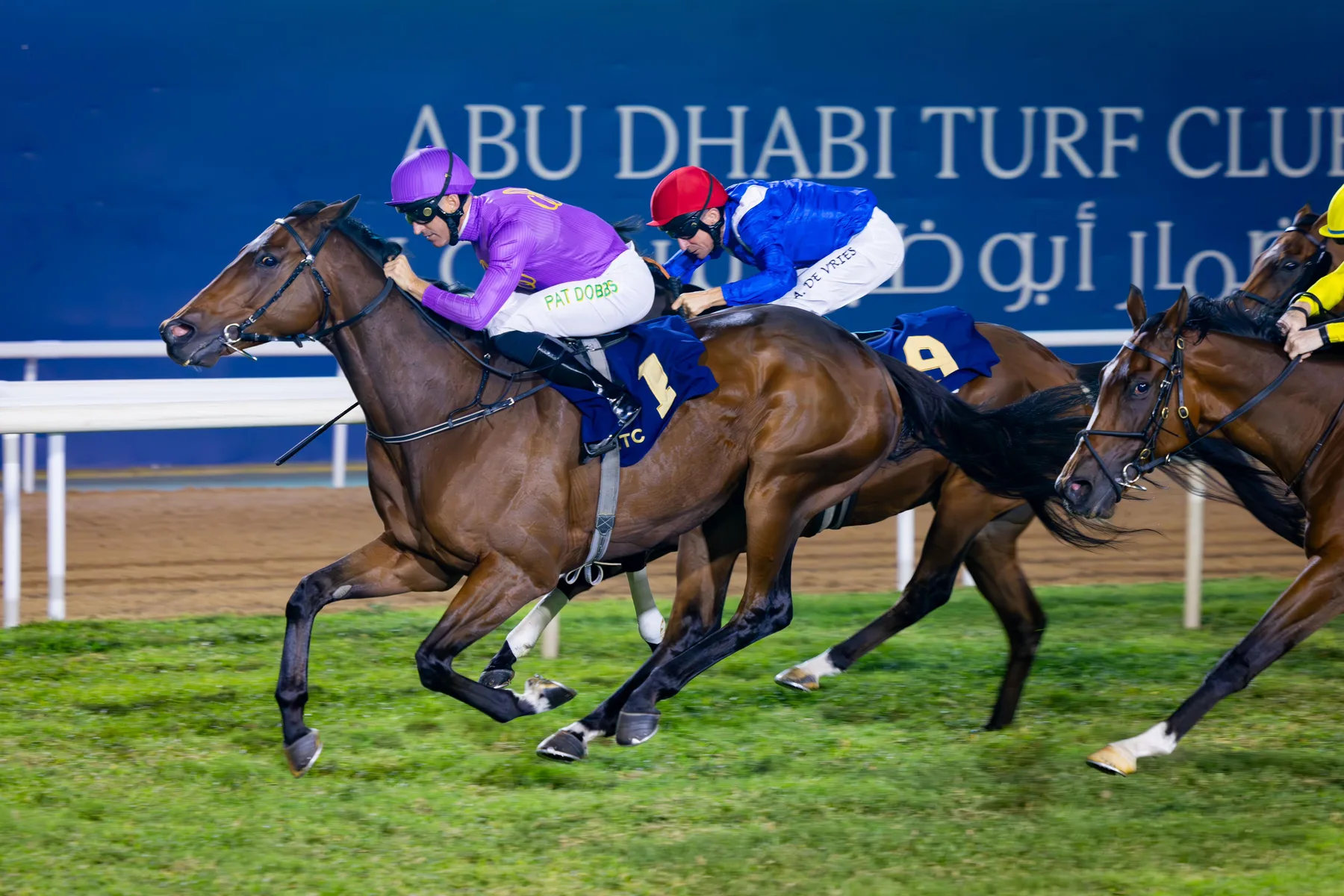 Daramethos — Listed Sheikh Zayed bin Sultan Al Nahyan National Day Cup